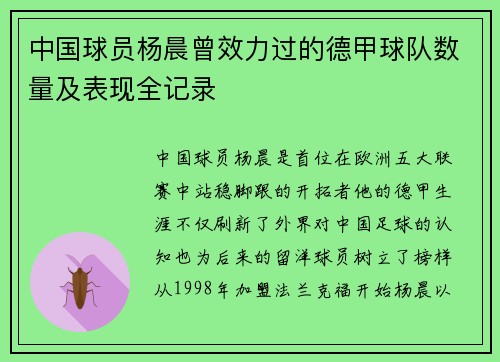 中国球员杨晨曾效力过的德甲球队数量及表现全记录